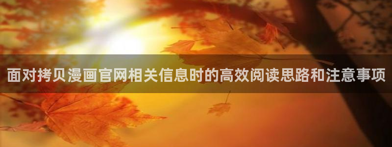重生漫画:面对拷贝漫画官网相关信息时的高效阅读思路和注意事项
