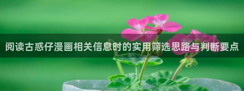 热门韩漫:阅读古惑仔漫画相关信息时的实用筛选思路与判断要点